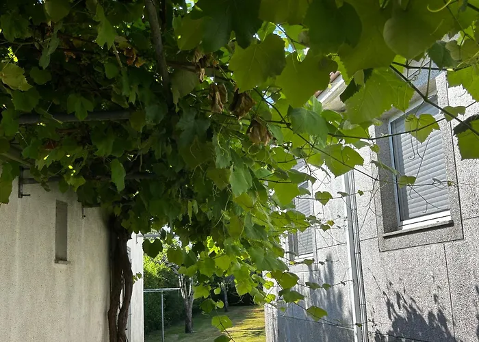 Casa Otilia - Rural - Camino de Santiago - Arzúa